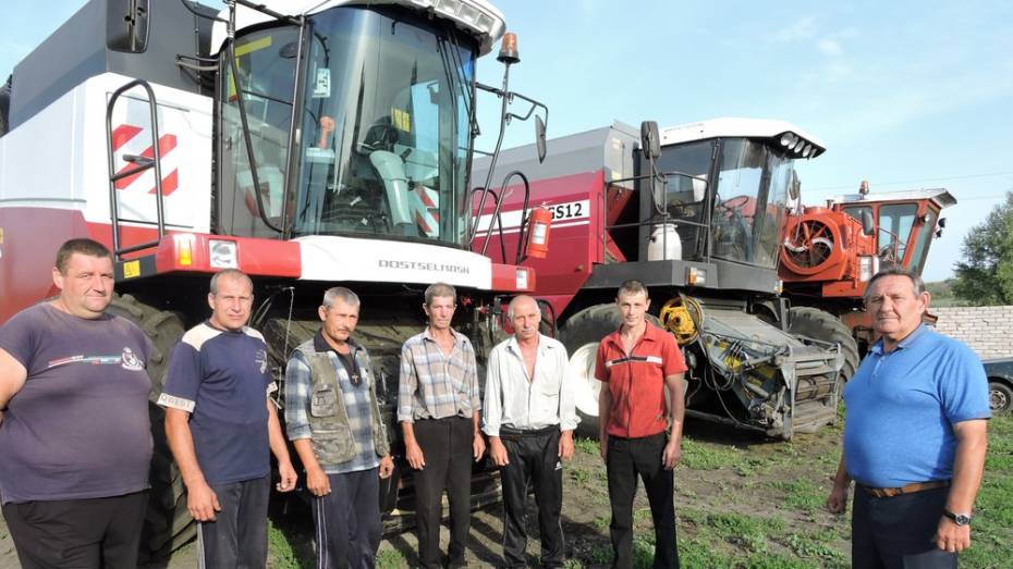 Подгоренские аграрии повторили рекорд 2008 года по уборке зерновых