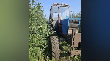 В Воронежской области на садовом участке тракторист насмерть сбил пешехода