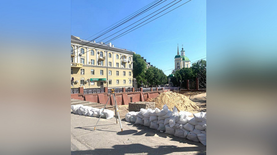 В Воронеже наняли ЧОП для охраны Каменного моста на время ремонта