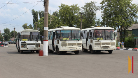 В Таловой запустят бесплатный автобусный маршрут перед Пасхой