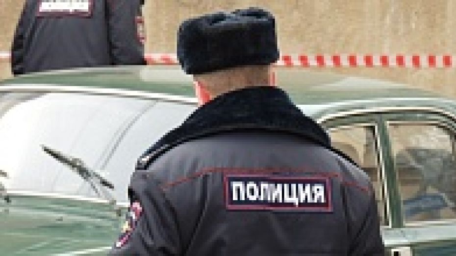 Полицейские ищут водителя, сбившего насмерть пешехода под Воронежем