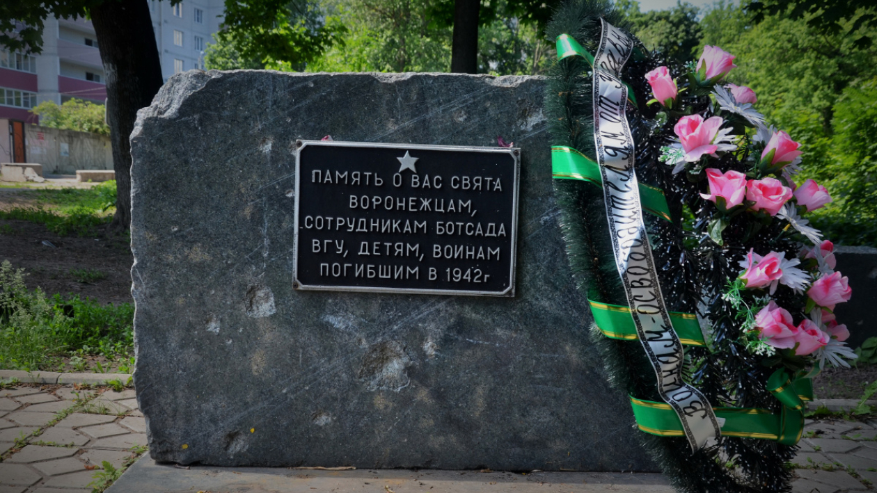 Проект РИА «Воронеж». Где этот памятник? «Утерянная» скульптура в Ботаническом саду