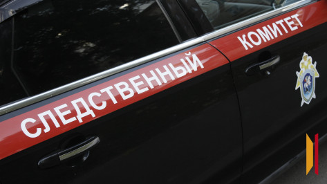 СК проводит проверку после исчезновения 12-летнего мальчика в Воронеже