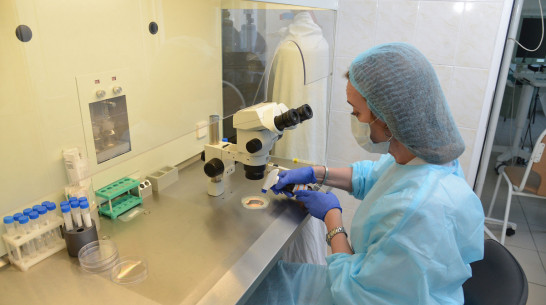 Правительство Воронежской области объяснило расхождения в статистике по COVID-19