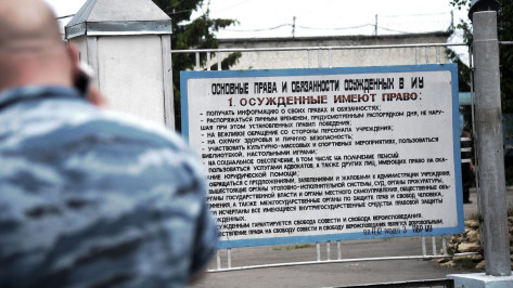 Воронежское управление ФСИН сэкономит более 100 млн рублей на энергосберегающем освещении