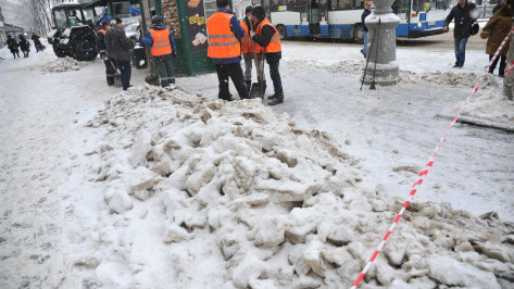 Глава управления дорожного хозяйства: Воронеж обеспечен снегоуборочной техникой на 30% 