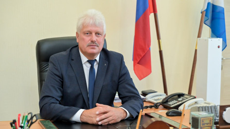 Владимира Просветова переизбрали главой Нижнедевицкого района Воронежской области