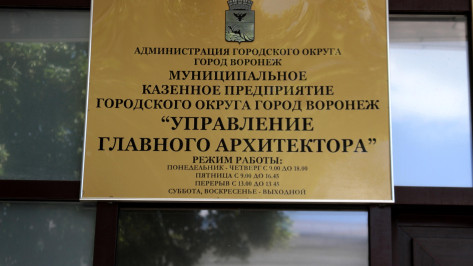 Контрольно-счетная палата Воронежа проверит управление главного архитектора