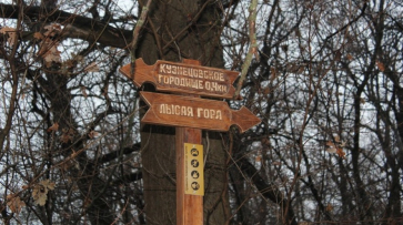 Информационные знаки появятся на границах заказников Воронежской области