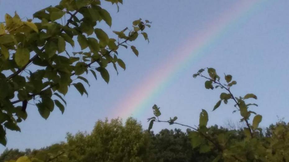 Жительница павловского села Ерышевка увидела радугу в ясную погоду