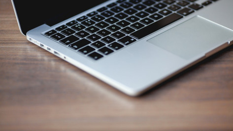 В Воронежской области внедрят электронную ветеринарную сертификацию