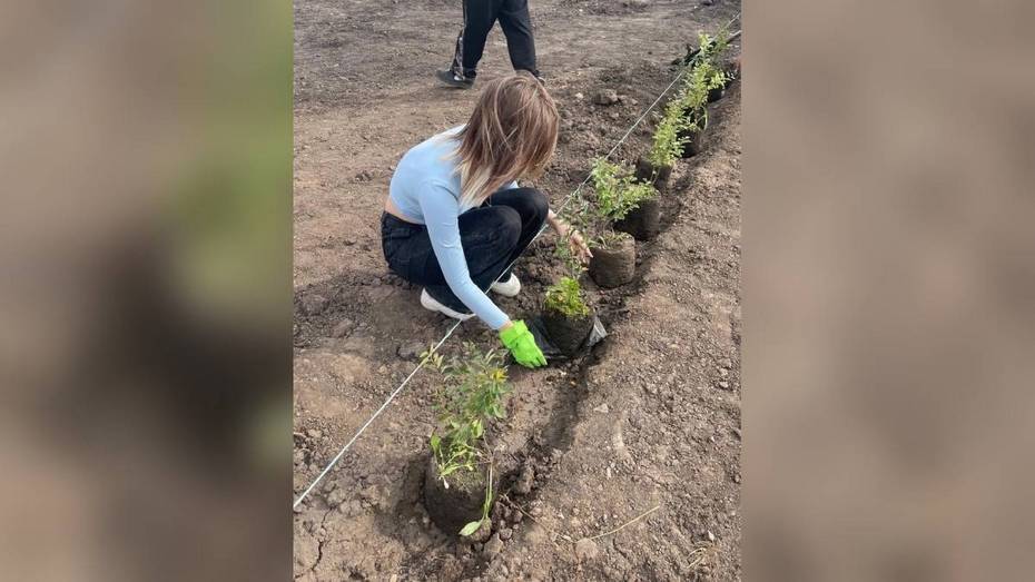 В верхнехавском селе Углянец создали школьный экодвор