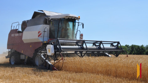 Воронежской области в 2025 году выделят 564,7 млн рублей на подготовку кадров для АПК