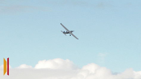 Над Воронежской областью сбили 26 БПЛА в ночь на 30 сентября