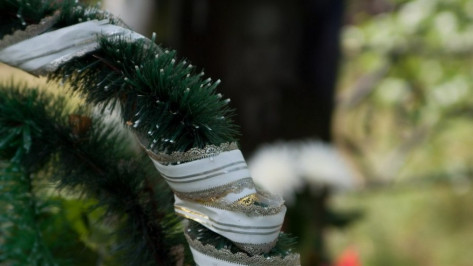 Экс-директора похоронного МУПа Воронежа уличили в злоупотреблениях