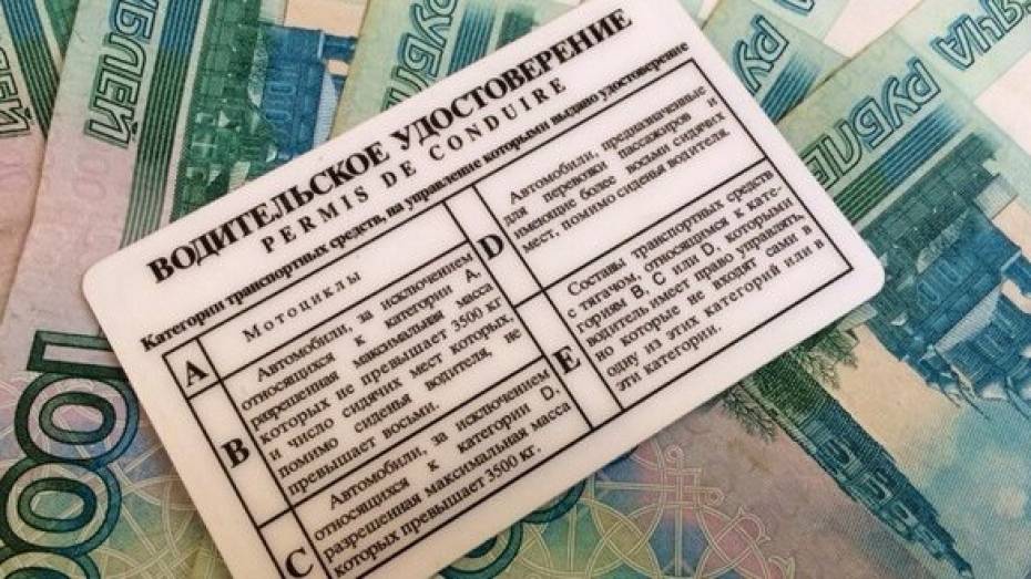 Воронежский ценитель красивых автономеров заплатит штраф в 90 тыс рублей