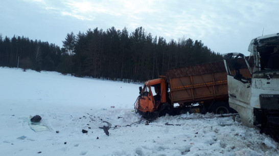Мужчина погиб в лобовом столкновении 2 грузовиков в Воронежской области