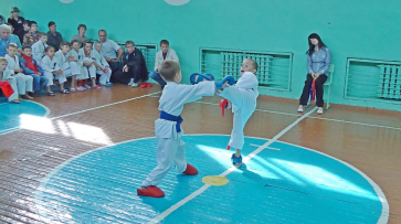 В Хохольском районе пройдет Всероссийский турнир по каратэ