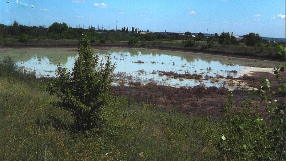 Верхнемамонский молочный завод ответит за загрязнение воды