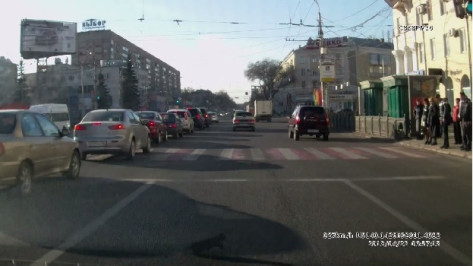 Котенка на ходу выбросили из окна машины в центре Воронежа