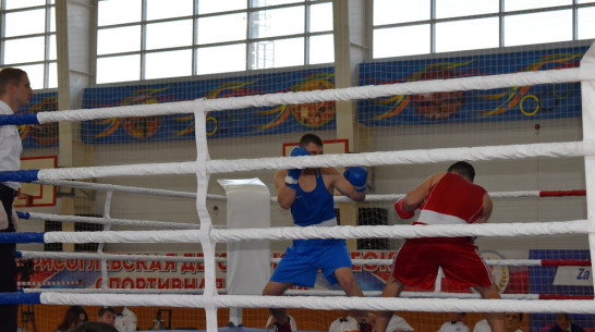 Всероссийский чемпионат по боксу памяти погибших в СВО стартовал в Борисоглебске