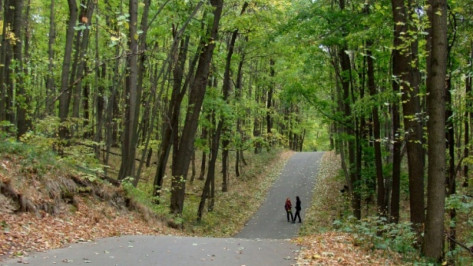 В Воронежской области нашли тело 29-летнего мужчины