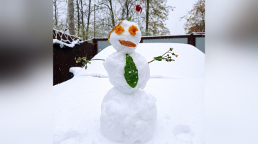Воронежцы поделились в соцсетях десятками фото октябрьских снеговиков