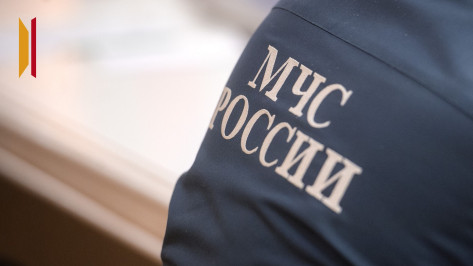 В Воронежской области с начала 2026 года при пожарах погибли 17 человек