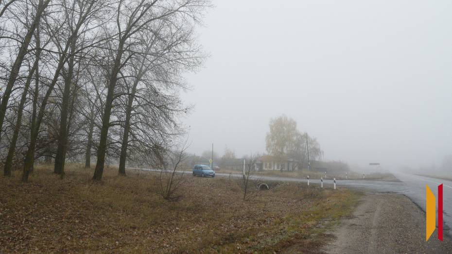 В ночь на 21 сентября Воронежскую область накроет туман