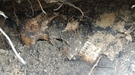 Воронежские поисковики защитят захоронения у цирка от строительства теплотрассы