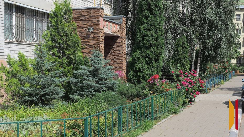 В Воронежской области благоустроят 101 двор