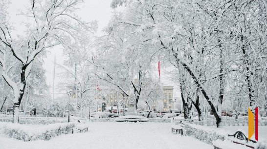 В Воронеже короткая рабочая неделя будет снежной и морозной