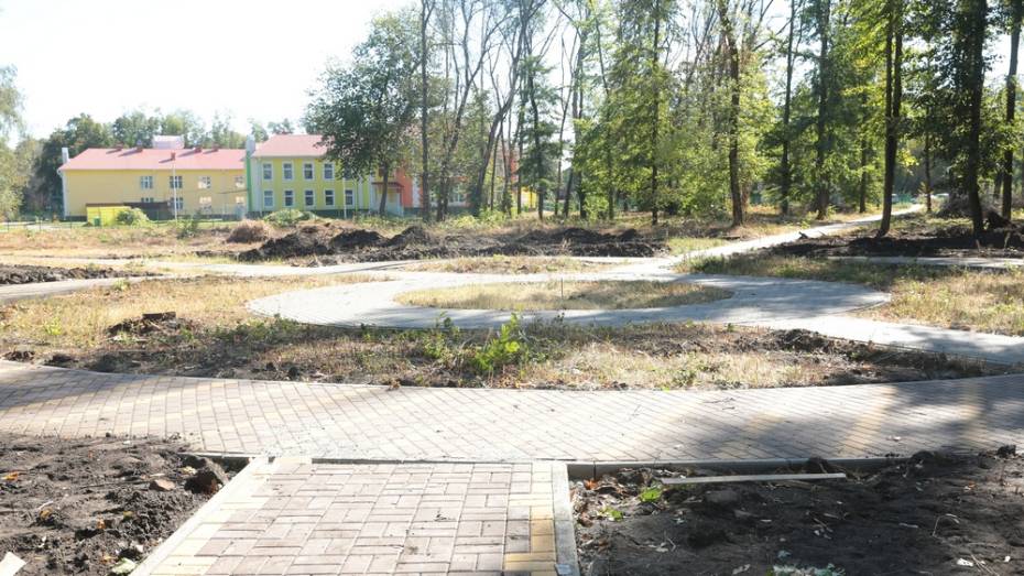 В бобровском селе Слобода благоустроят новый парк