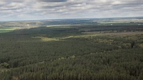 Воронежские леса потушат с вертолета Минобороны