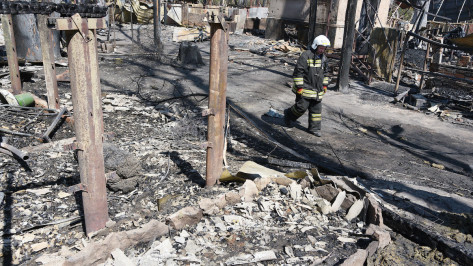 Более 1 тыс пожаров произошло в Воронеже в 2020 году