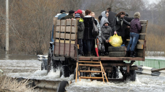 Дорожники взяли под особый контроль 11 мостов Воронежской области