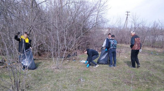 Бобровские студенты собрали 50 мешков мусора на Коршевской горе