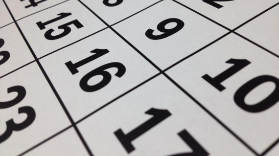 Какие профессиональные праздники будут отмечать воронежцы в ноябре 2025 года