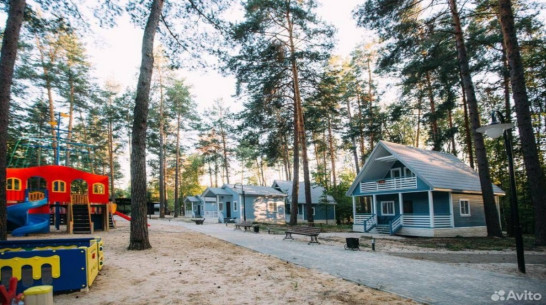 В охранной зоне Воронежского заповедника продают базу отдыха за 180 млн рублей