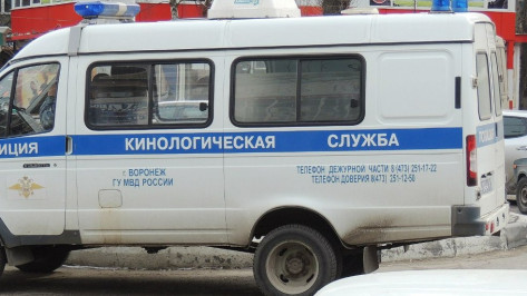 В центре Воронежа спасатели нашли гранату