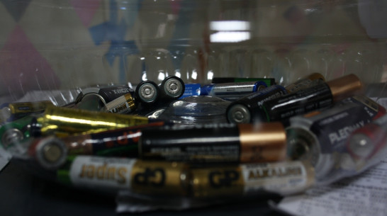 В управах районов Воронежа начали принимать использованные батарейки