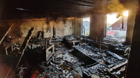 Появилось фото с места гибели матери и дочери на пожаре в Воронежской области