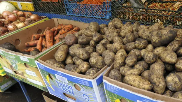 Морковь и картофель подорожали в Воронежской области