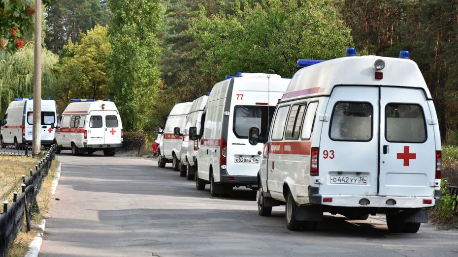 Около 340 коек осталось свободными для COVID-пациентов в Воронежской области