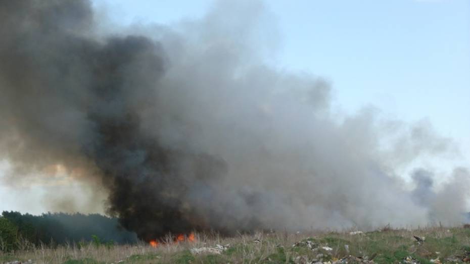 В Поворинском районе шесть часов горел мусор