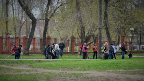 В Воронежской области на субботник вышли 173,5 тыс жителей 