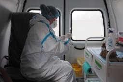 От коронавируса привили 160 тыс жителей Воронежской области