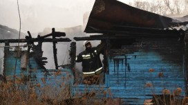 В воронежском селе при пожаре в деревянном доме погиб его пожилой хозяин