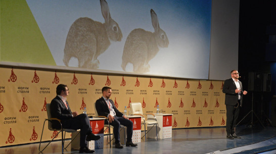 «Новая ступень». Опытные участники воронежской премии Столля – о бизнесе и призвании