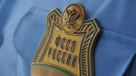 В Воронеже судебные приставы придут к должникам с новогодними рейдами